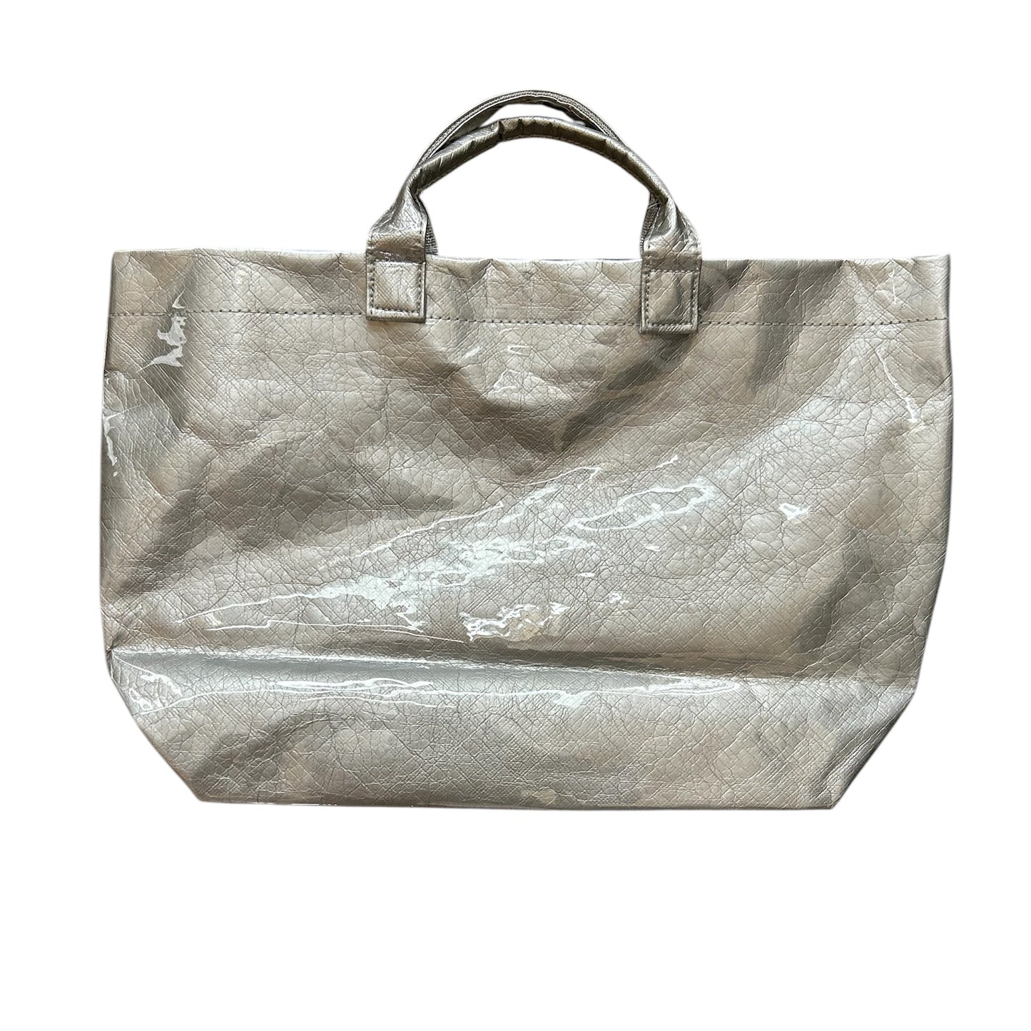 SILVER GREYTHER BAG